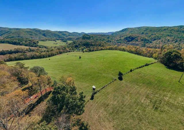 a view of a field with an ocean