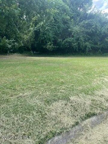 $66,000 | 411 North Broad Street, Williamston, NC 27892