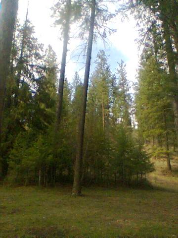 865 Aladdin Road Colville, WA 99114 - Photo 3 of 8