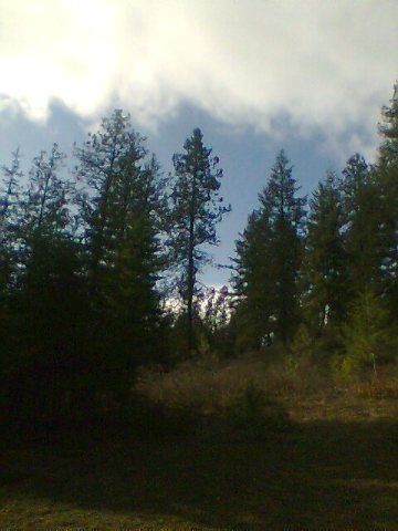 865 Aladdin Road Colville, WA 99114 - Photo 4 of 8