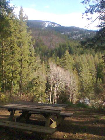 865 Aladdin Road Colville, WA 99114 - Photo 5 of 8