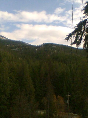 865 Aladdin Road Colville, WA 99114 - Photo 8 of 8