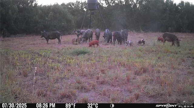 a view of a yard is sitting in the middle of the green field
