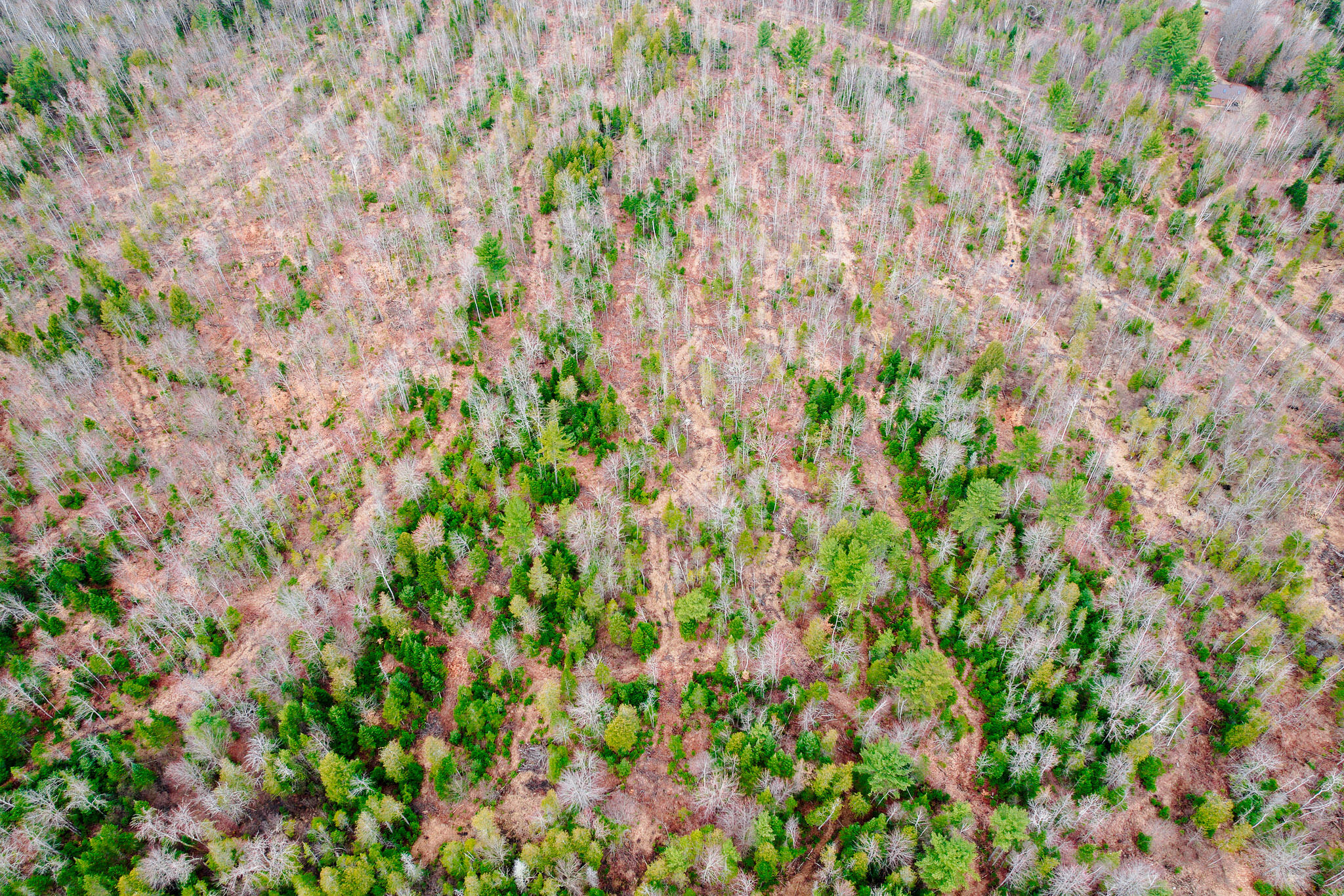 414 Taylor Hill Road New Vineyard, ME 04956 - Photo 81 of 88 414 Taylor Hill Road