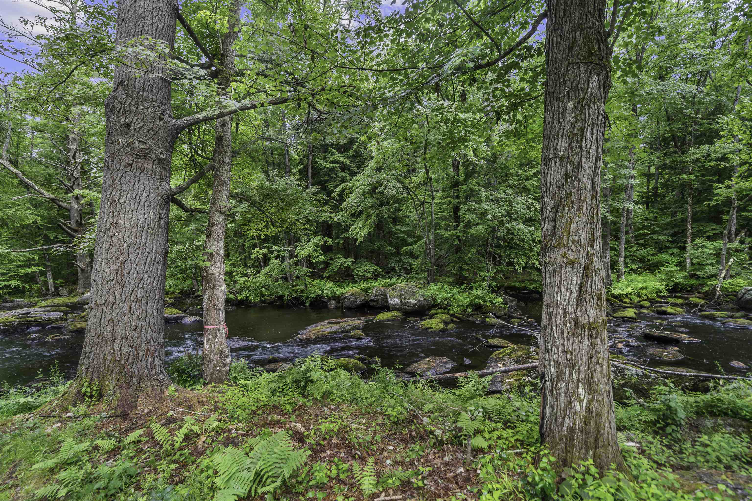 566 Beard Road Hillsborough, NH 03244 - Photo 5 of 27