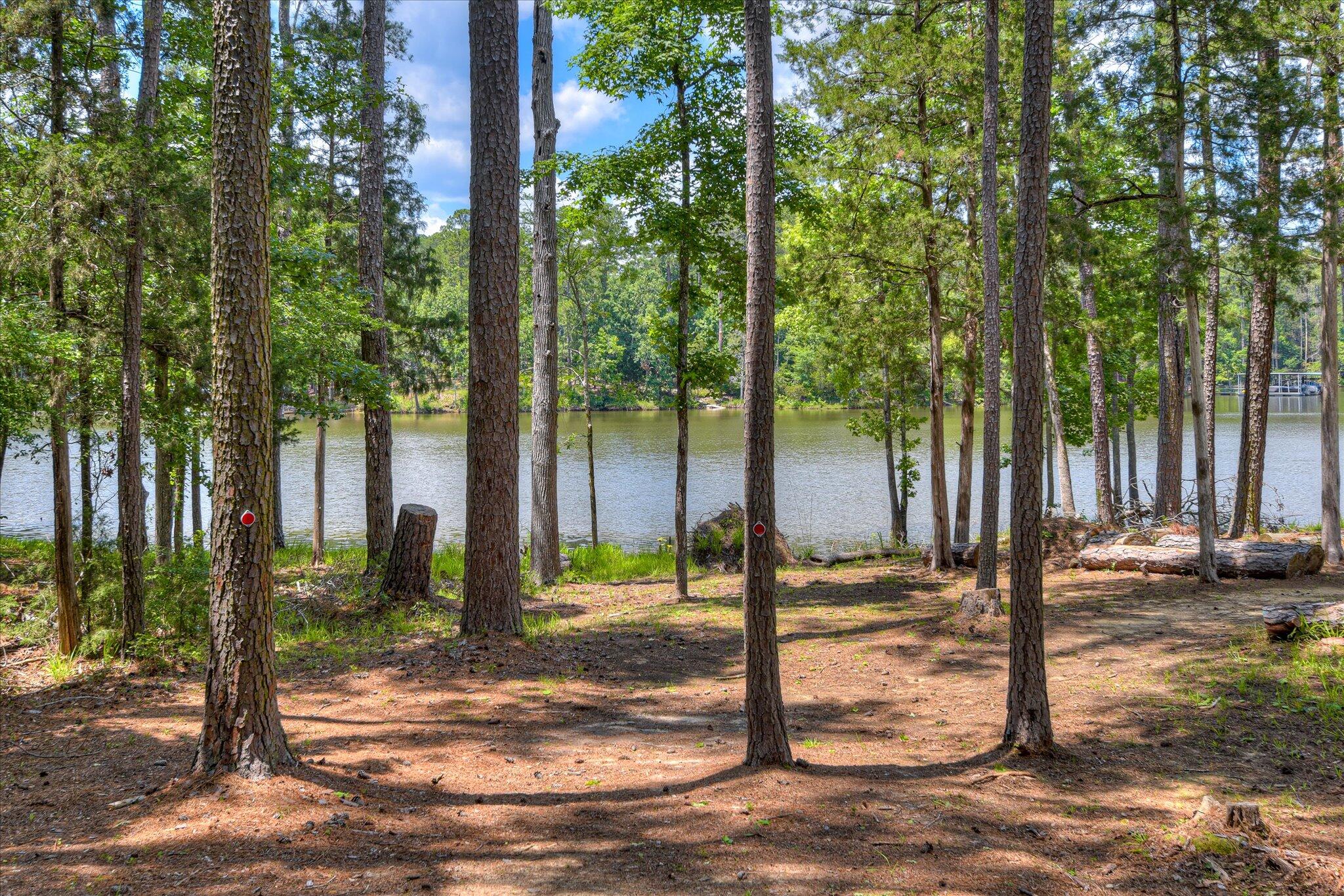 136 Lake Ridge Drive McCormick, SC 29835 - Photo 69 of 77 75-175