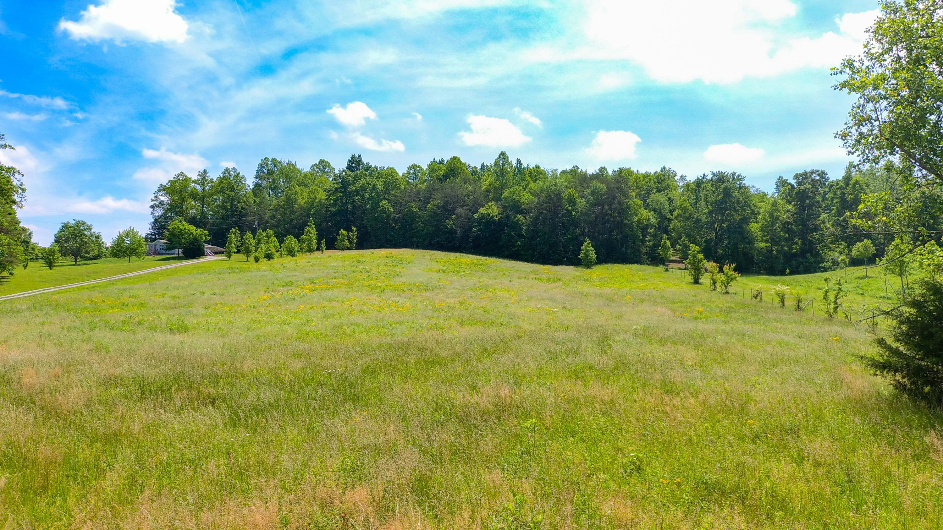 Lot 9 Buckner Road Philadelphia, TN 37846 - Photo 5 of 7 View From Curb