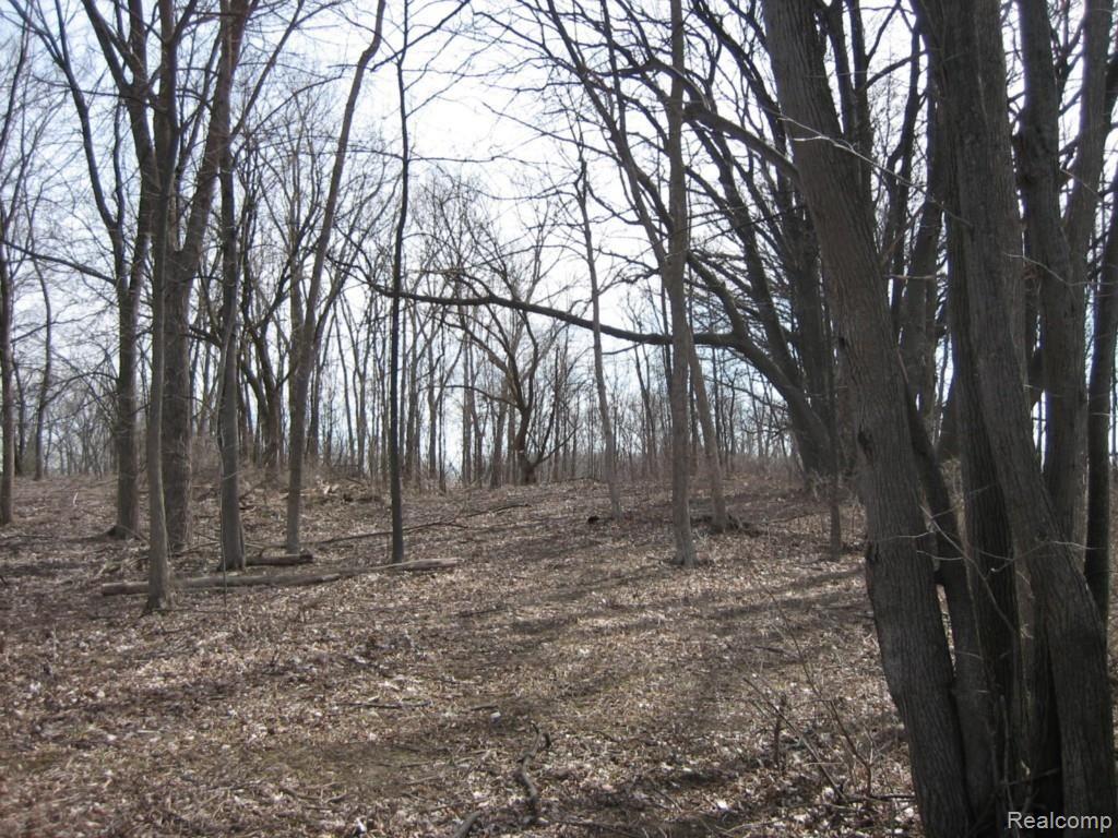 Vac Torrey Road Fenton, MI 48430 - Photo 6 of 12 IMG_8362.jpg