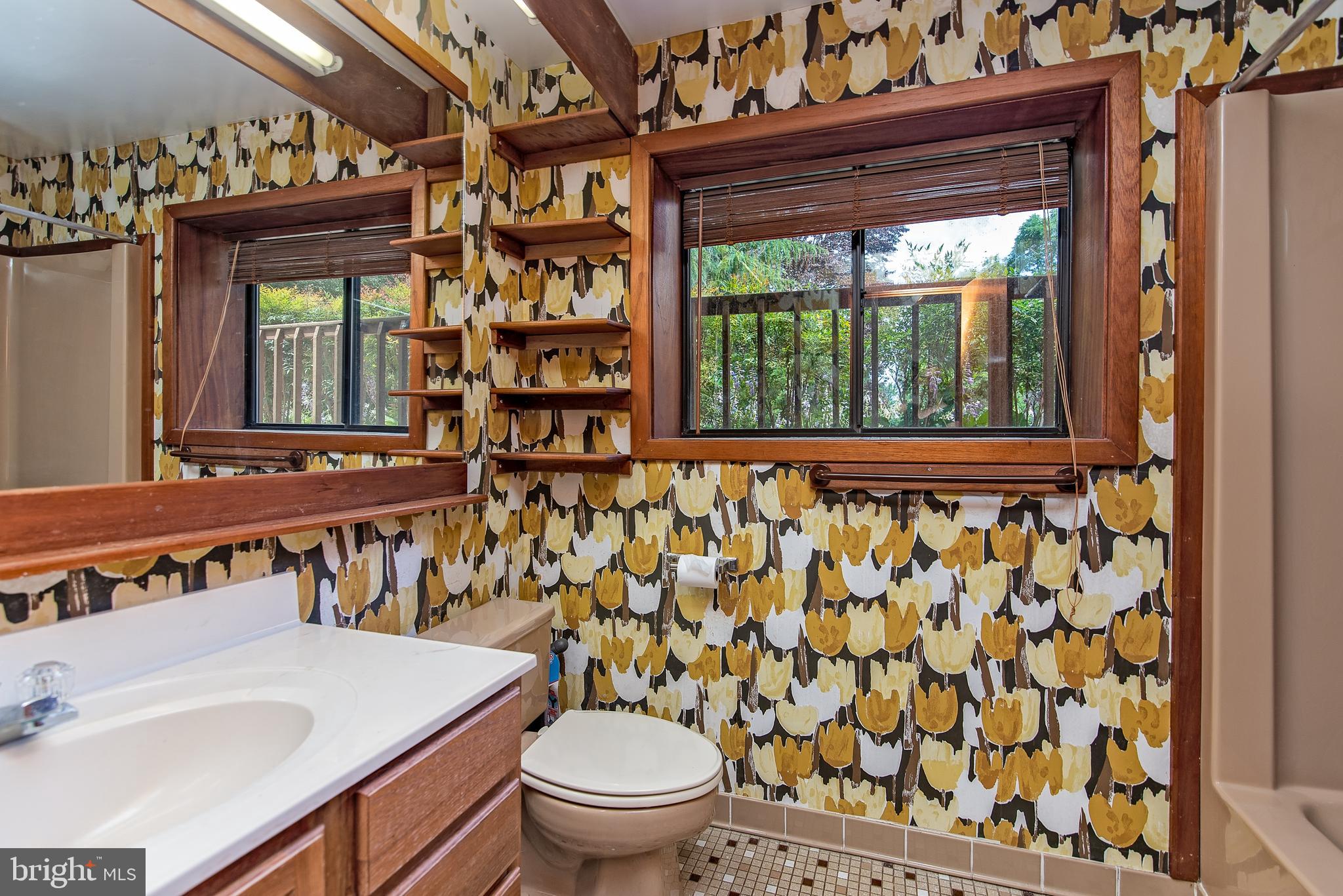 4360 Baildon Road Trappe, MD 21673 - Photo 23 of 37 Main House - Lower Level Bathroom