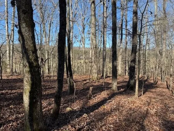 a view of a backyard of the house