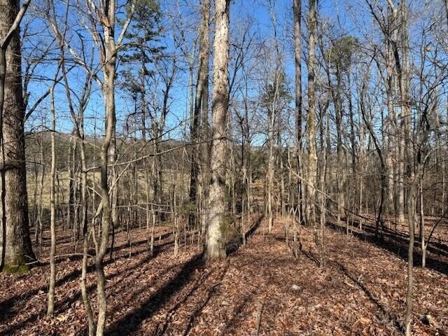 1 County Road 751 Valley Head, AL 35989 - Photo 14 of 17 a view of a yard