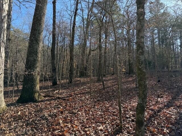 1 County Road 751 Valley Head, AL 35989 - Photo 16 of 17 a view of a yard with trees