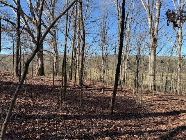 1 County Road 751 Valley Head, AL 35989 - Photo 2 of 17 a backyard of a house with lots of green space