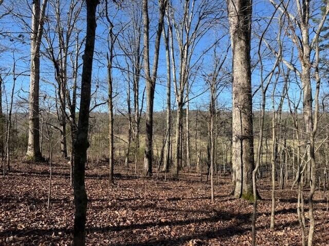 1 County Road 751 Valley Head, AL 35989 - Photo 3 of 17 a view of a backyard of the house