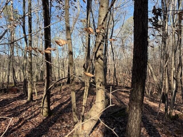 1 County Road 751 Valley Head, AL 35989 - Photo 5 of 17 a view of a pathway with a tree