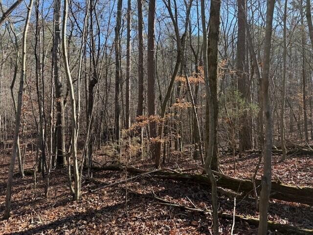 1 County Road 751 Valley Head, AL 35989 - Photo 9 of 17 a view of a backyard of the house