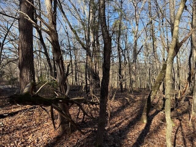 1 County Road 751 Valley Head, AL 35989 - Photo 10 of 17 a view of a yard