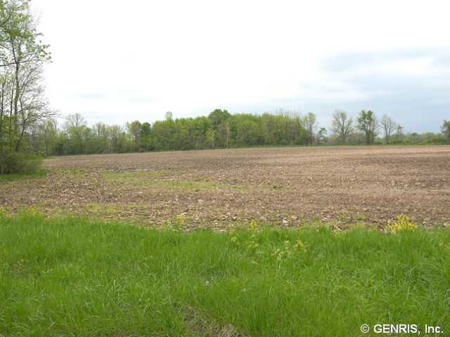 3780 Brick Schoolhouse Road Hamlin, NY 14464 - Photo 1 of 1 Exterior Front. Most of the lot is open farm land.