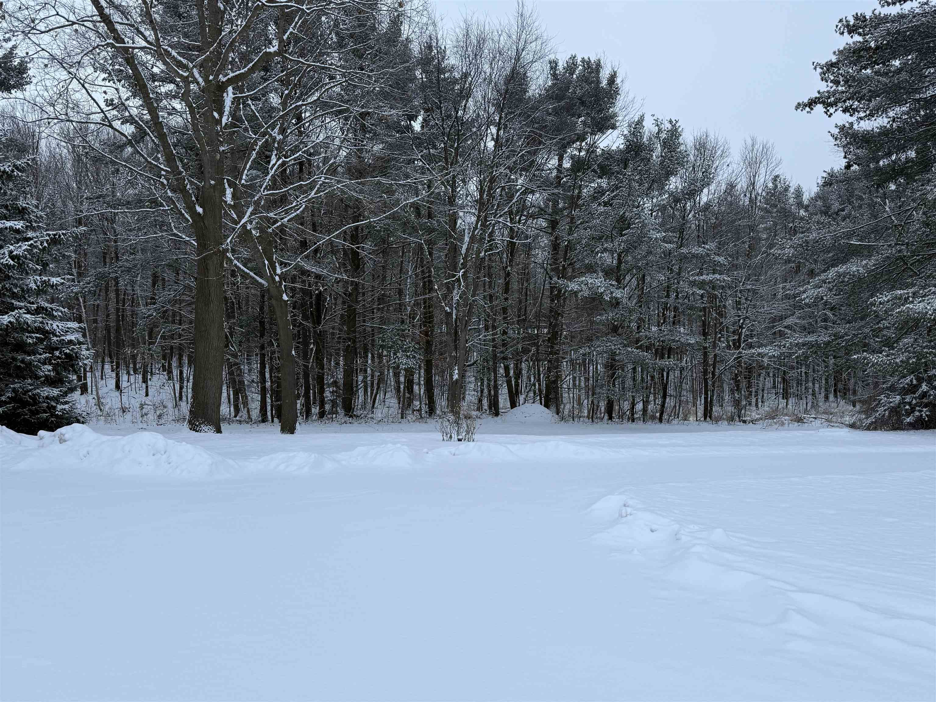 N6990 Beech Road Shawano, WI 54166 - Photo 5 of 20