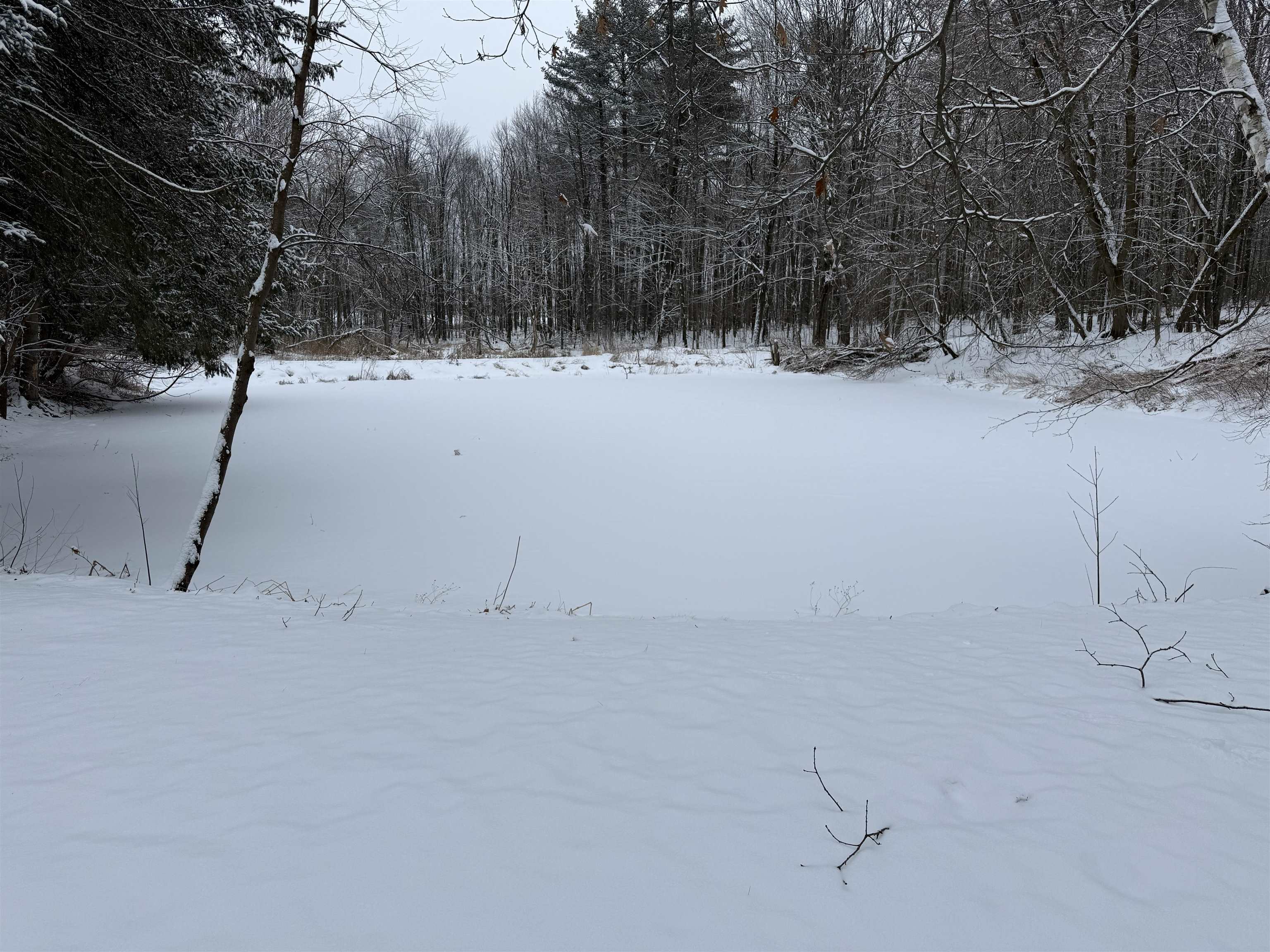 N6990 Beech Road Shawano, WI 54166 - Photo 6 of 20