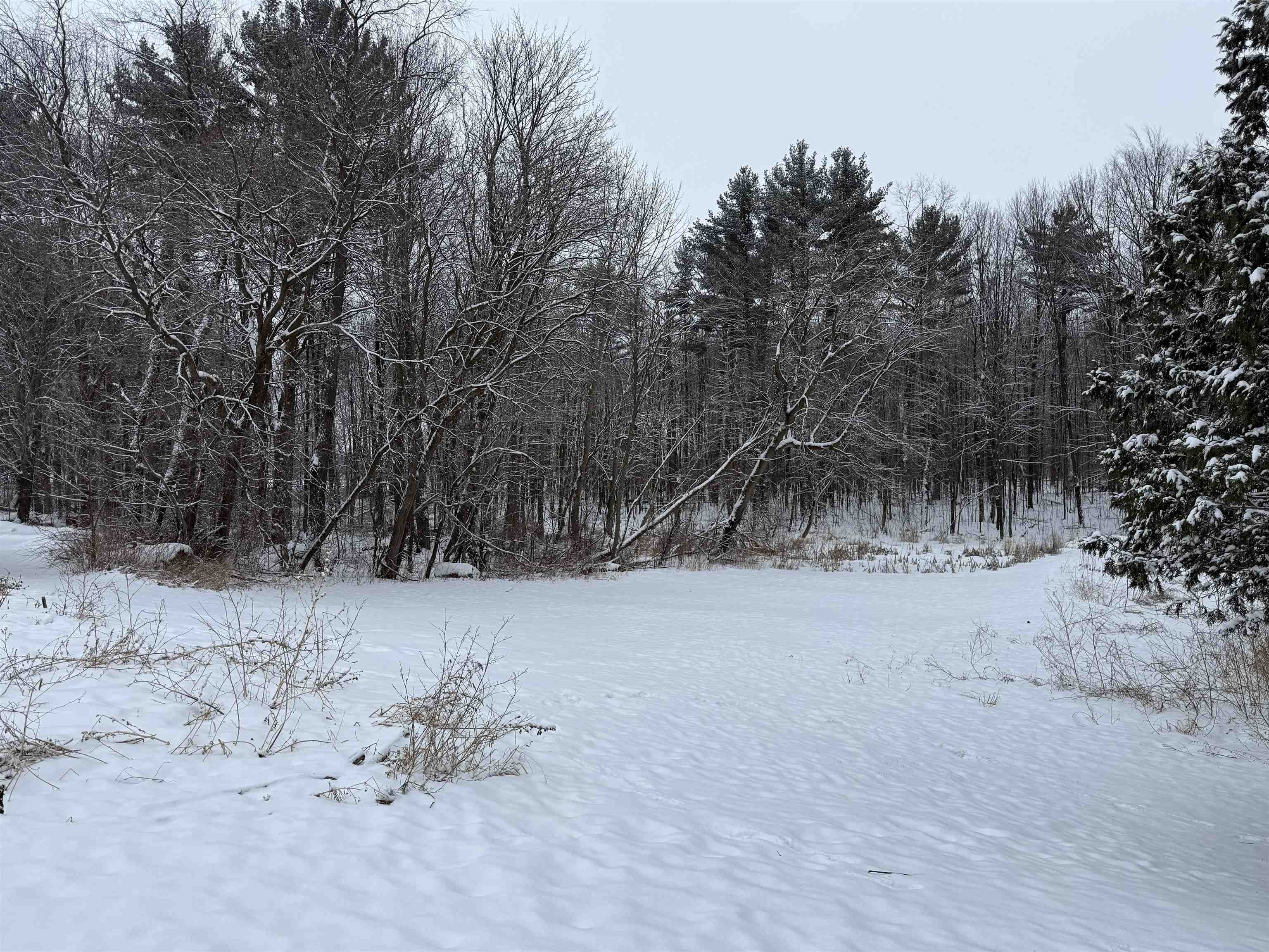 N6990 Beech Road Shawano, WI 54166 - Photo 7 of 20