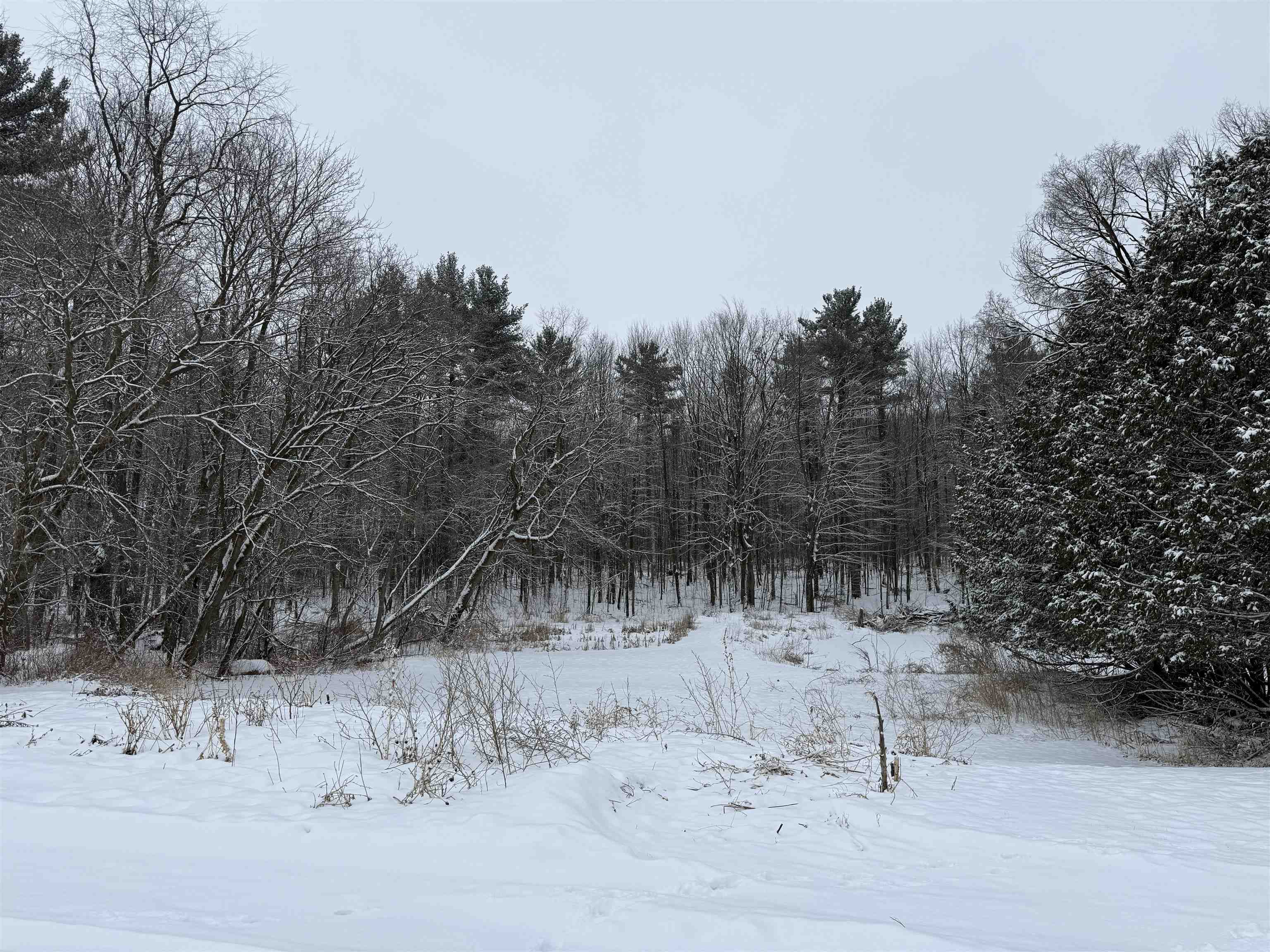 N6990 Beech Road Shawano, WI 54166 - Photo 8 of 20