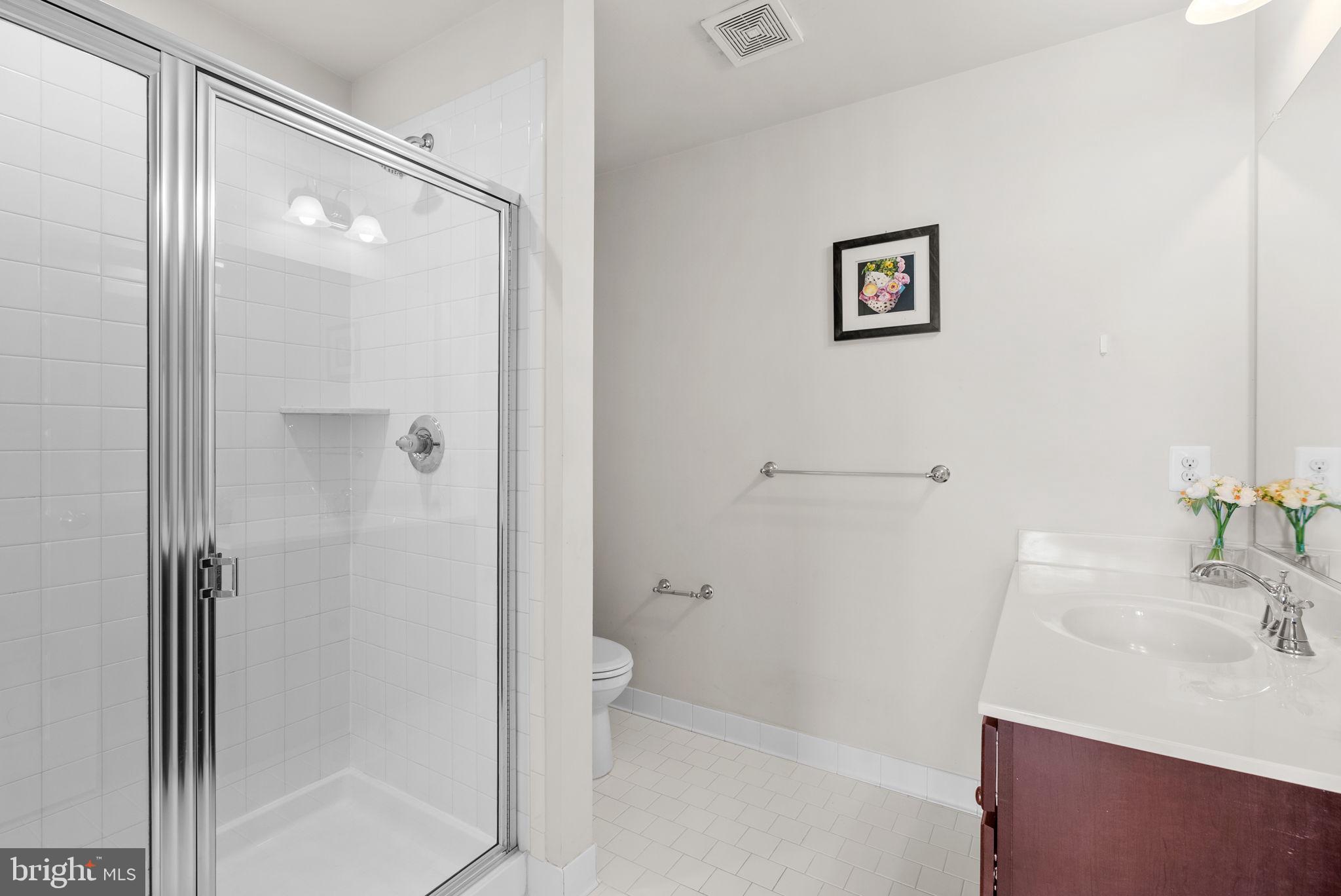 2419 Auden Drive Silver Spring, MD 20906 - Photo 29 of 40 a bathroom with a shower and a sink