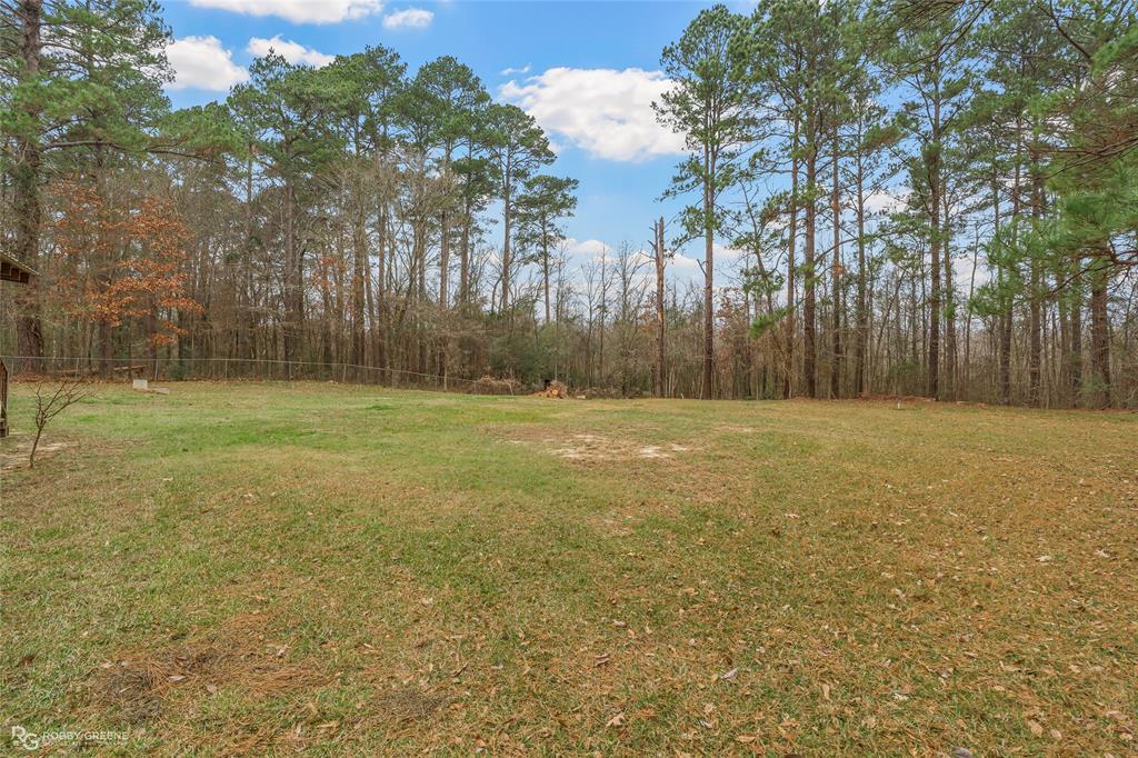 1230 Chipper Lane Keithville, LA 71047 - Photo 8 of 27 a view of a yard with trees