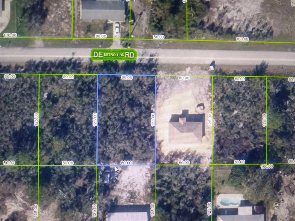 439 Detroit Road Lake Placid, FL 33852 - Photo 1 of 1 Gallery Image 1