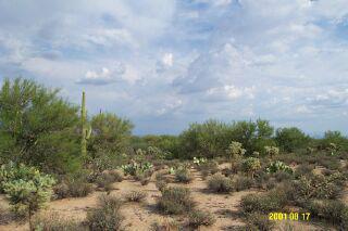 0 North Oldfather Road Tucson, AZ 85742 - Photo 6 of 7