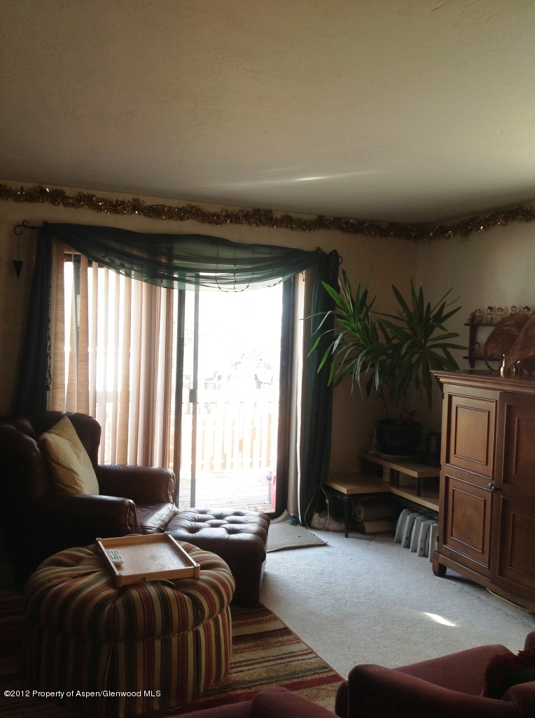 286 Badger Road Carbondale, CO 81623 - Photo 3 of 19 Living Room