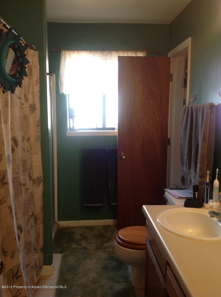 286 Badger Road Carbondale, CO 81623 - Photo 7 of 19 Bath 1 upstairs