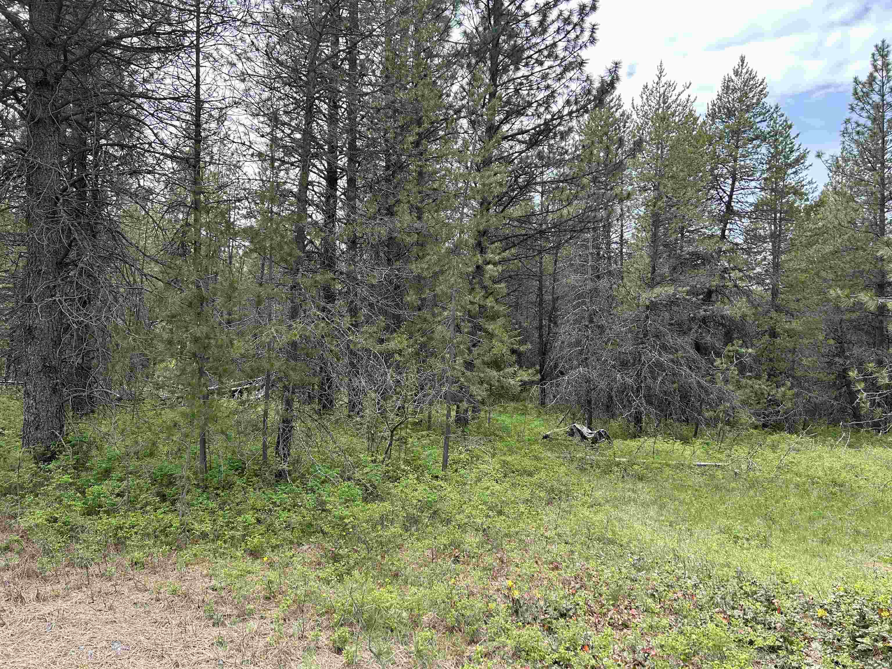 Xxx North Division Road Deer Park, WA 99006 - Photo 1 of 9