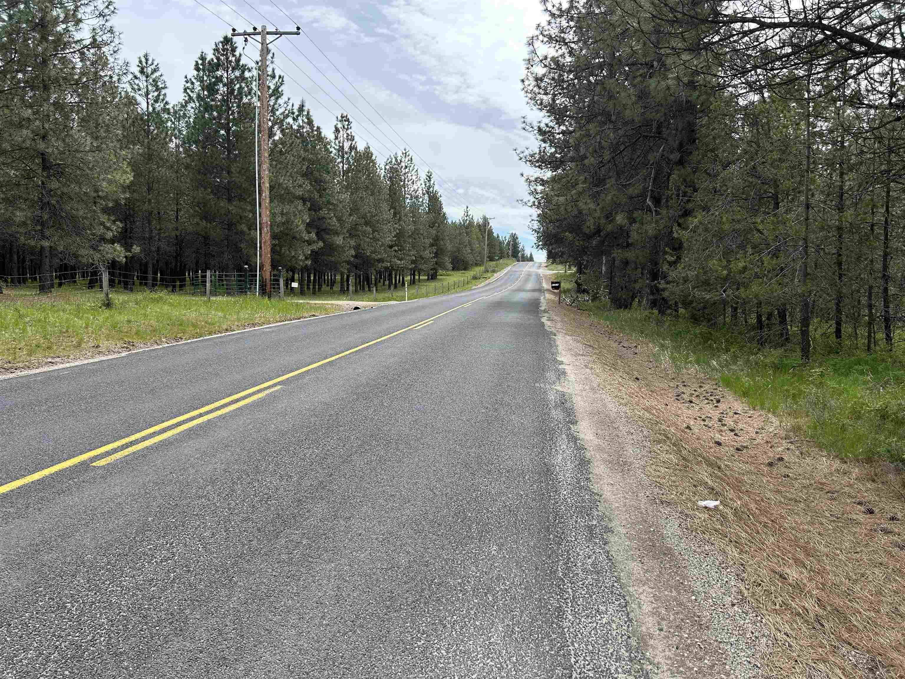 Xxx North Division Road Deer Park, WA 99006 - Photo 3 of 9