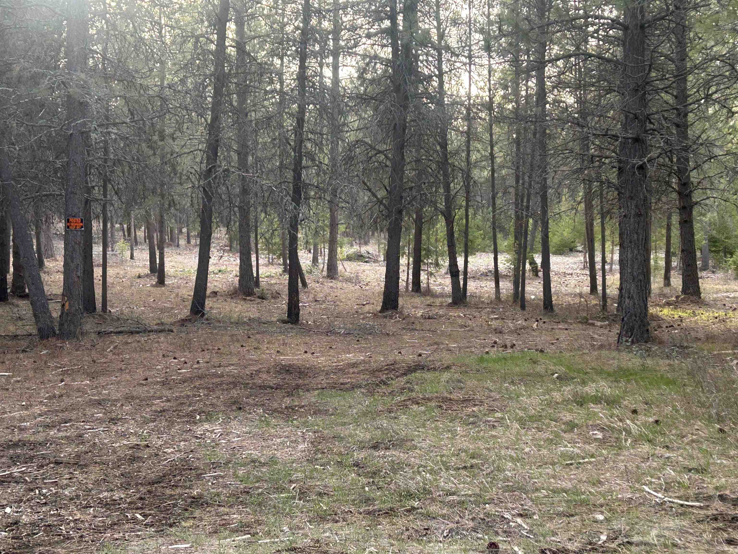 Xxx North Division Road Deer Park, WA 99006 - Photo 7 of 9