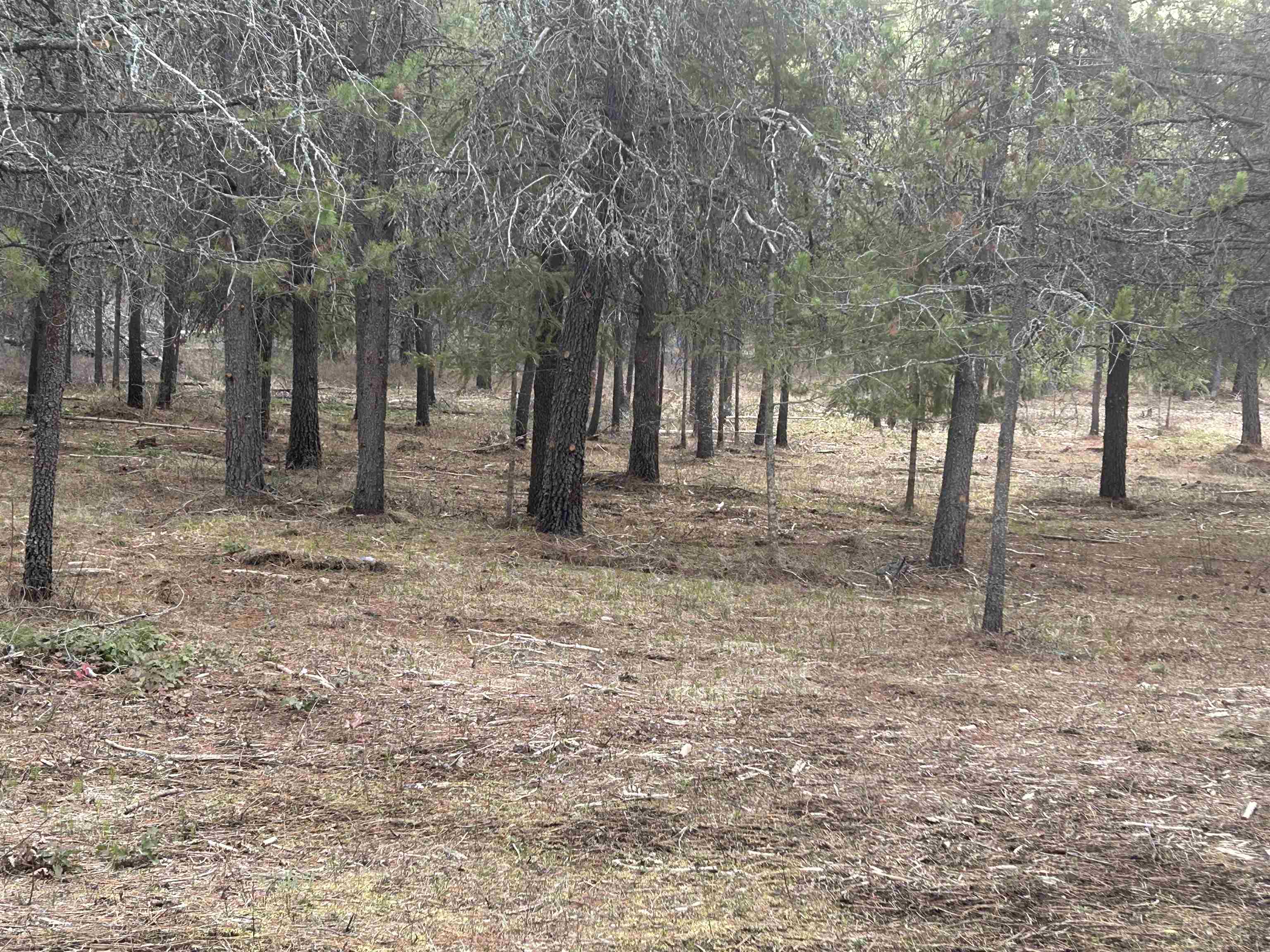 Xxx North Division Road Deer Park, WA 99006 - Photo 8 of 9