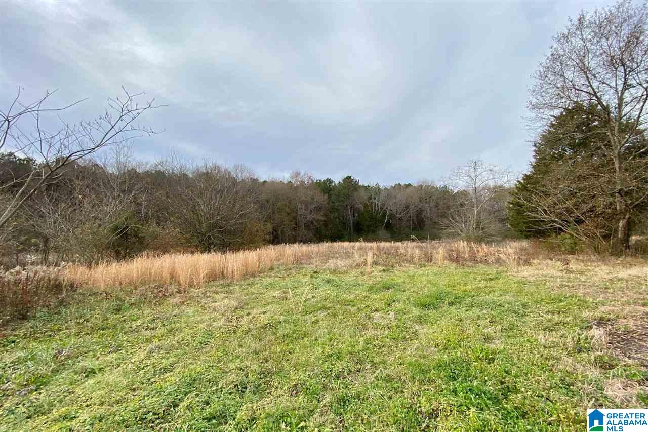 885 County Line Road West, Unit 11 ACRES Eastaboga, AL 36260 - Photo 5 of 17