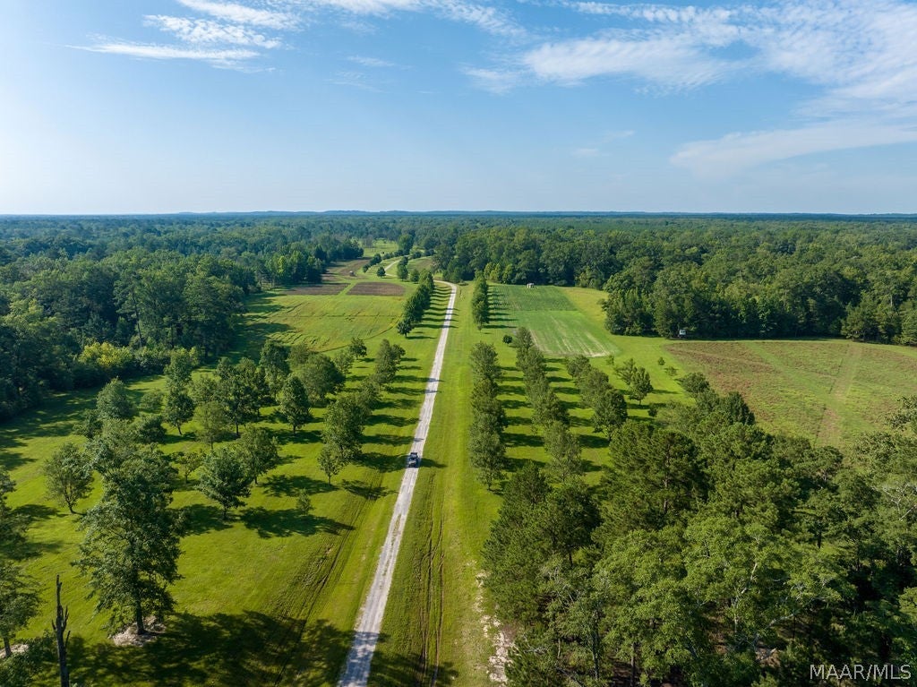 0 Dykes Road Hurtsboro, AL 36860 - Photo 44 of 59 Gallery Image 44