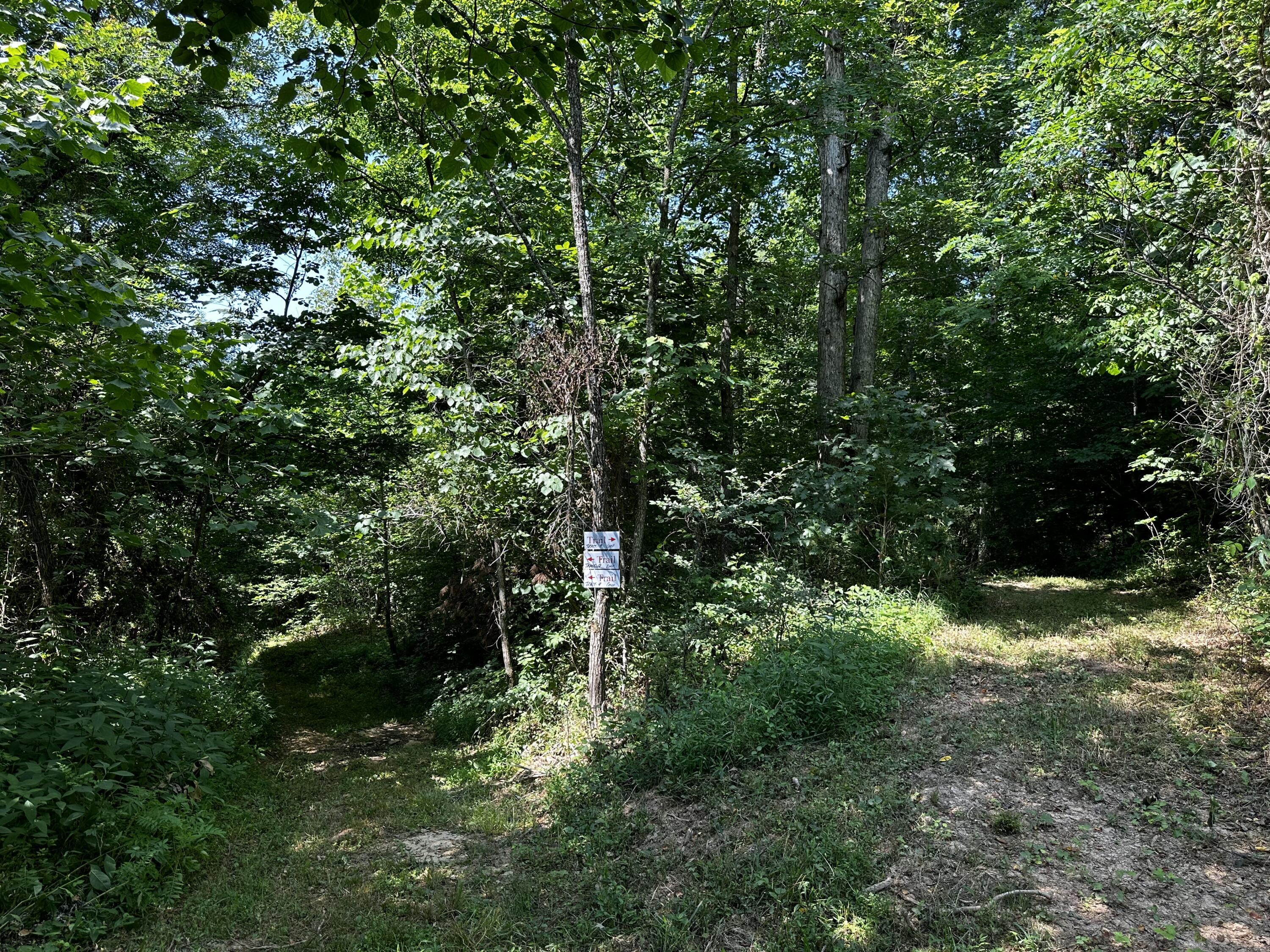 1101 Hull Road, Unit TRACT 9 WOODS WAYNE FOREST) Patriot, OH 45658 - Photo 21 of 61 20240621_145312789_iOS