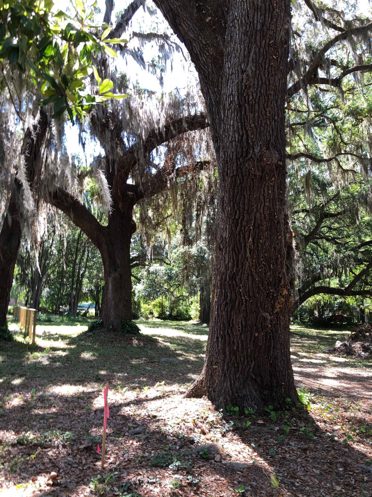 96515600_260206428464206_167044544865920