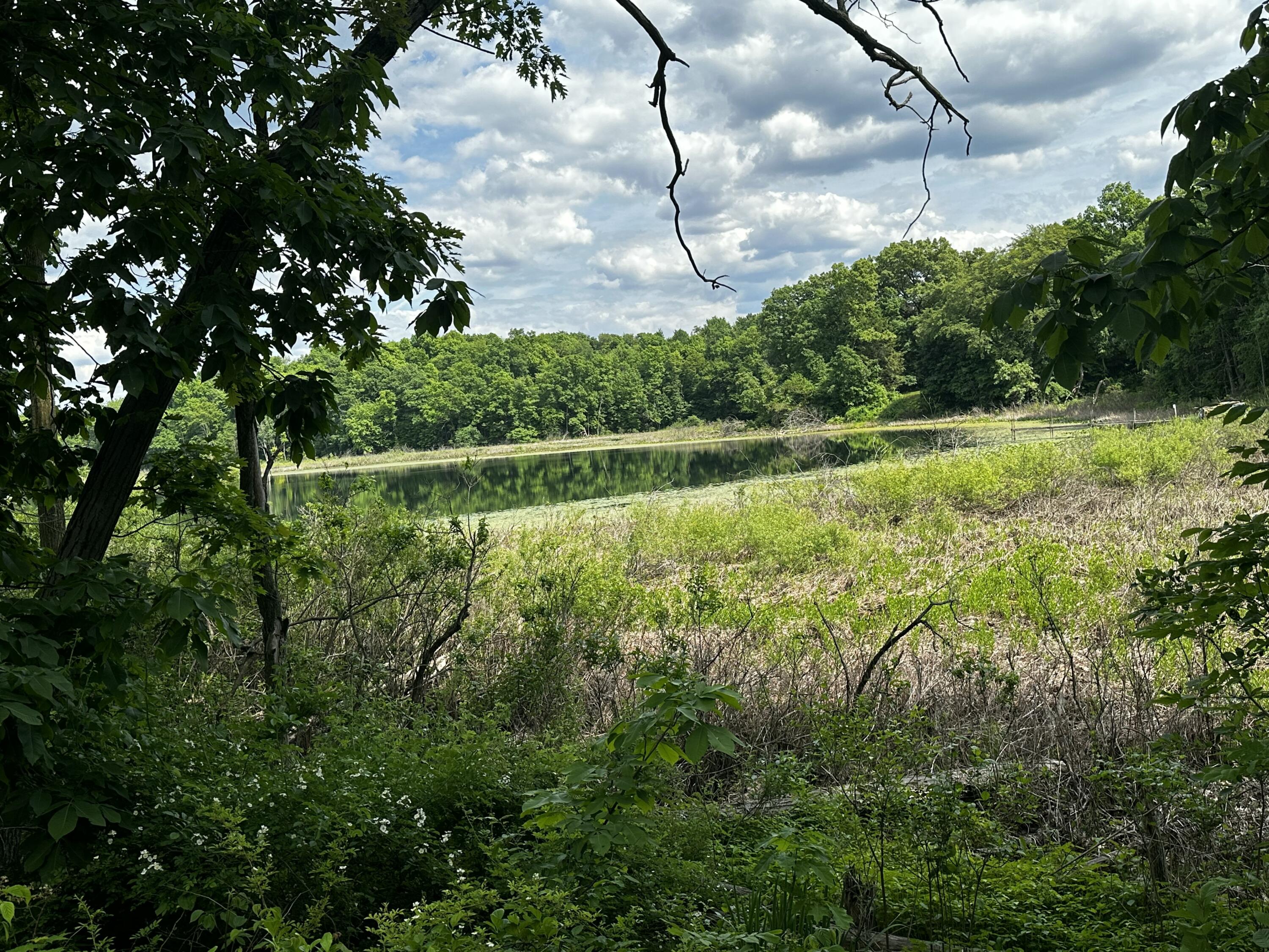 South Norris Road Delton, MI 49046 - Photo 10 of 13 IMG_0963 2