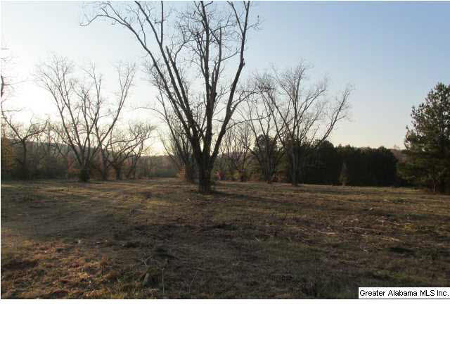 392 4 Mile Church Road, Unit 40 AC Anniston, AL 36206 - Photo 10 of 12
