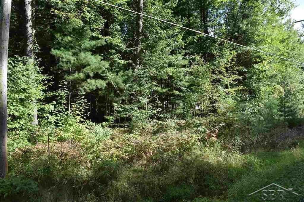 North W River Road Sanford, MI 48657 - Photo 5 of 5