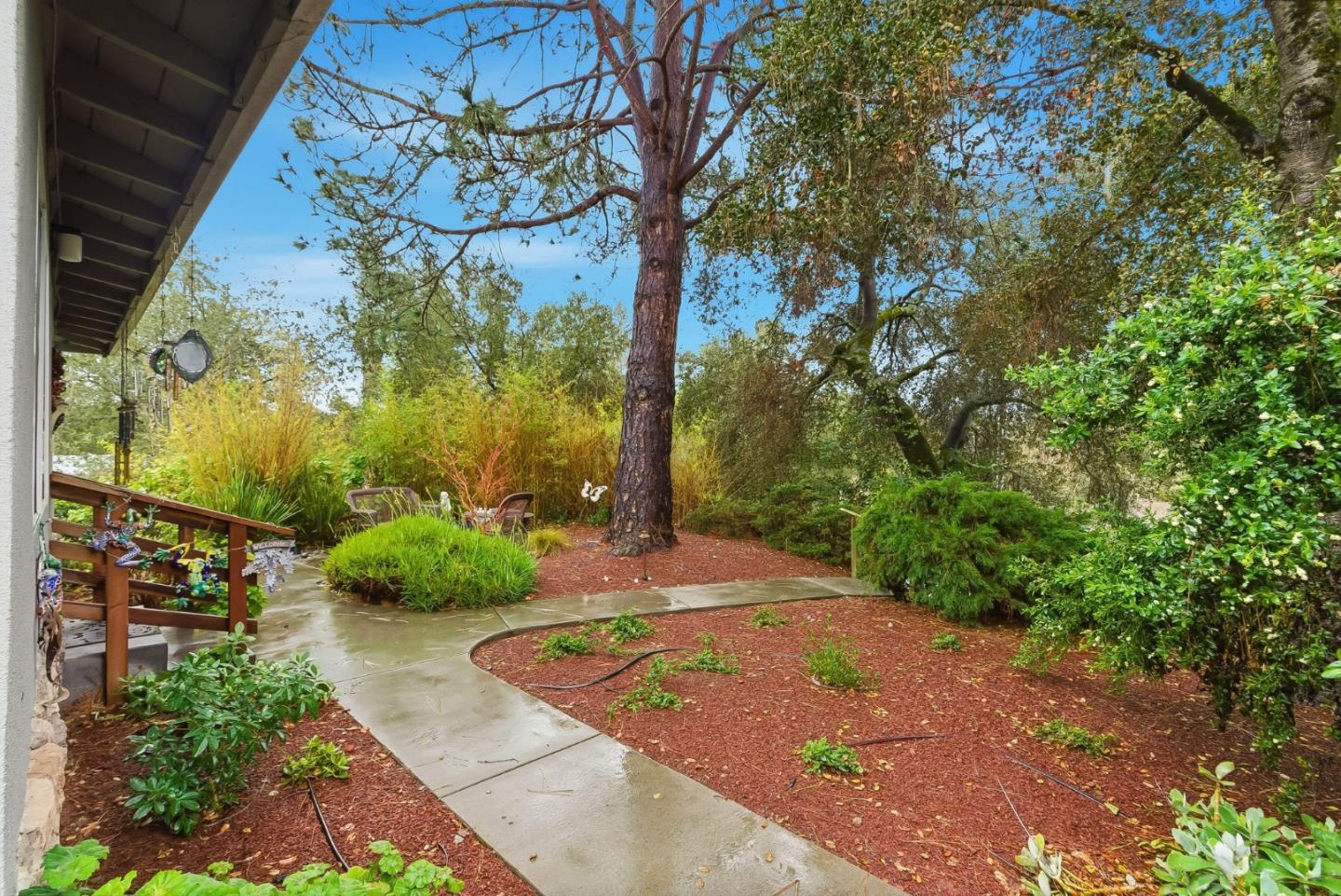 192 Bean Creek Road Scotts Valley, CA 95066 - Photo 11 of 17 a view of a yard with an tree