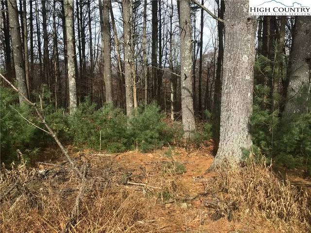 $18,000 | Pine Springs Estates Road, Jefferson, NC 28640