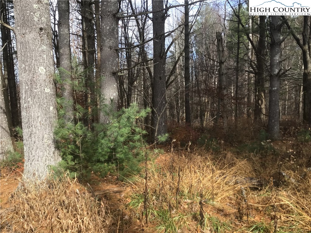 Pine Springs Estates Road Jefferson, NC 28640 - Photo 3 of 5 a view of backyard with green space