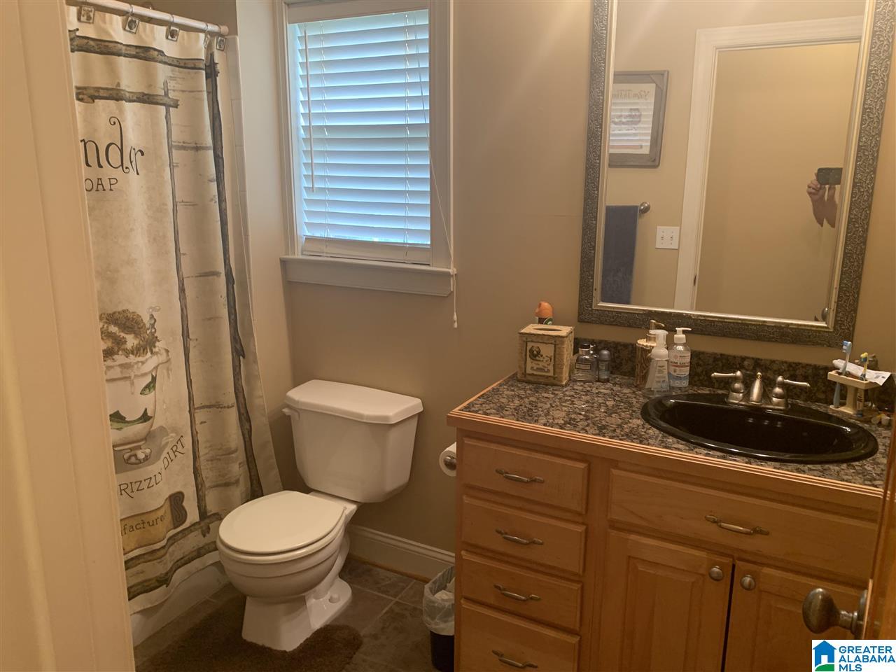 347 Wixford Trace Alabaster, AL 35007 - Photo 14 of 17