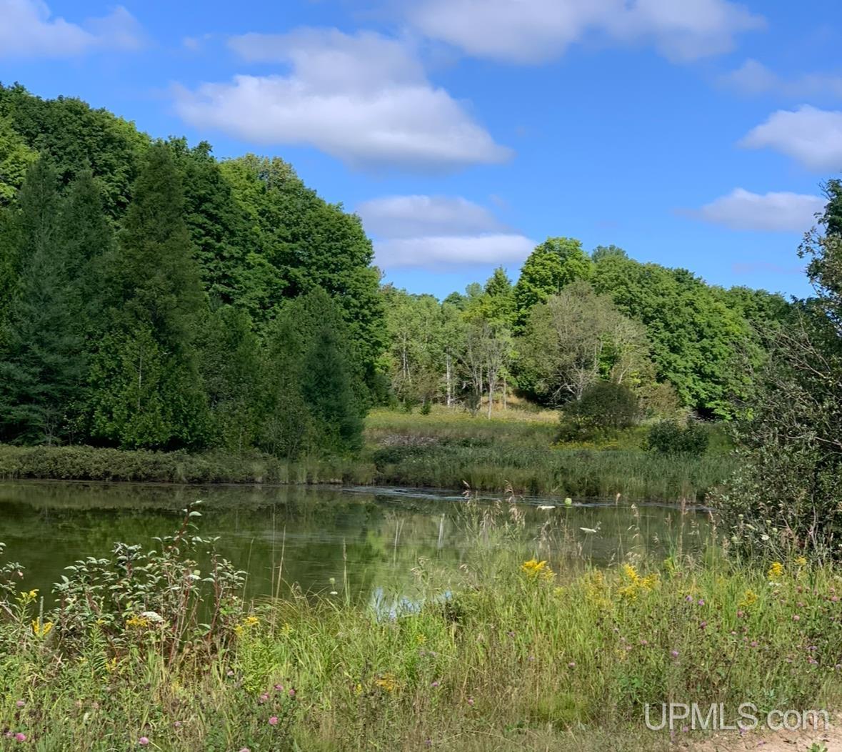 5049 North Samuelson Road Chatham, MI 49816 - Photo 2 of 7 Gallery Image 2