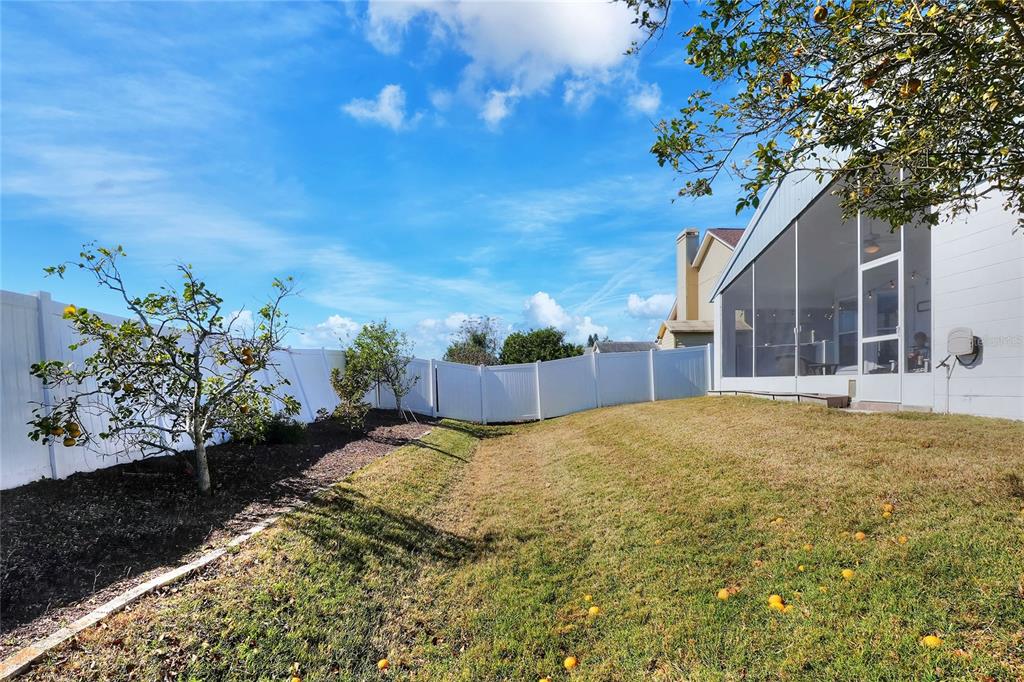 412 Emerald Cove Loop Lakeland, FL 33813 - Photo 38 of 48