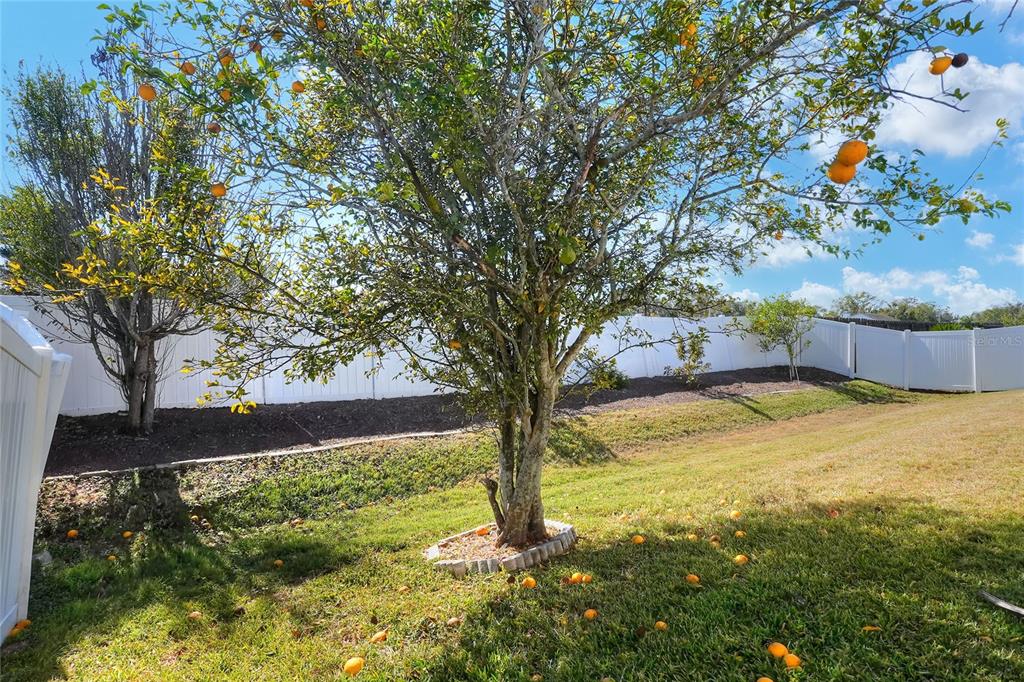 412 Emerald Cove Loop Lakeland, FL 33813 - Photo 40 of 48